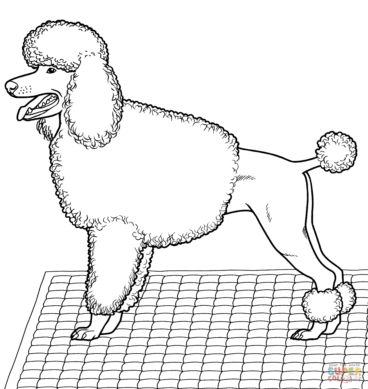 Poodle dog coloring page puppy coloring pages poodle