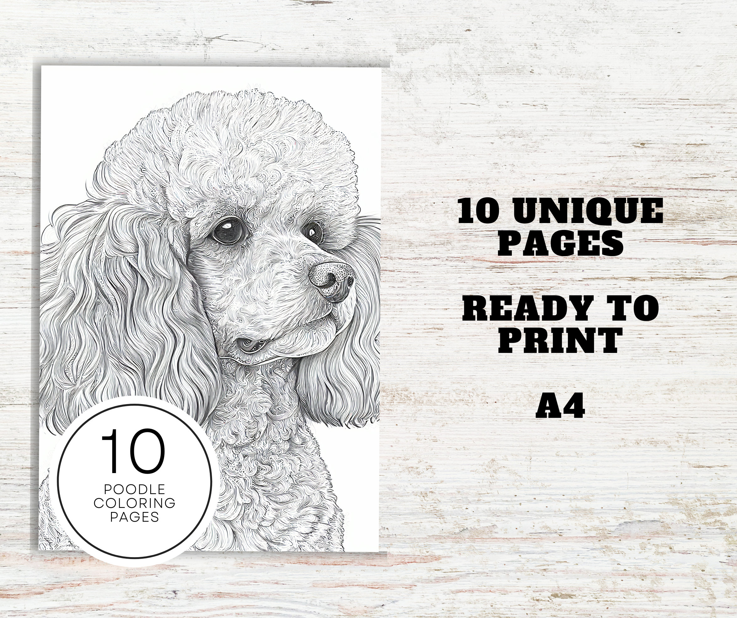 Poodle dogs coloring pages a printable pdf dog coloring sheets for teens adults stress relief sheets