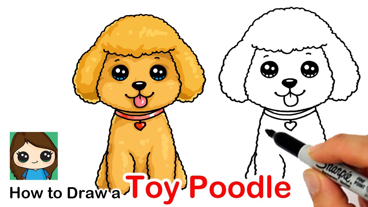 How to draw a toy poodle puppy dog easy