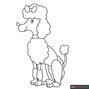Poodle coloring page easy drawing guides
