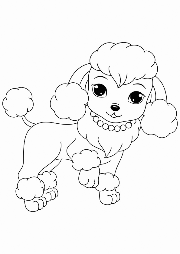 Poodle coloring pages