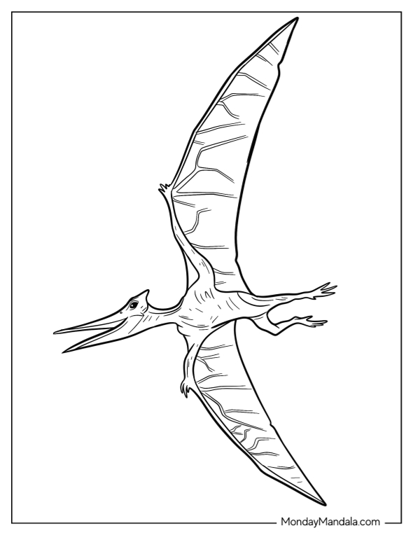 Pterodactyl coloring pages free pdf printables