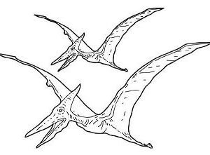 Pterodactyl coloring pages printable for free download