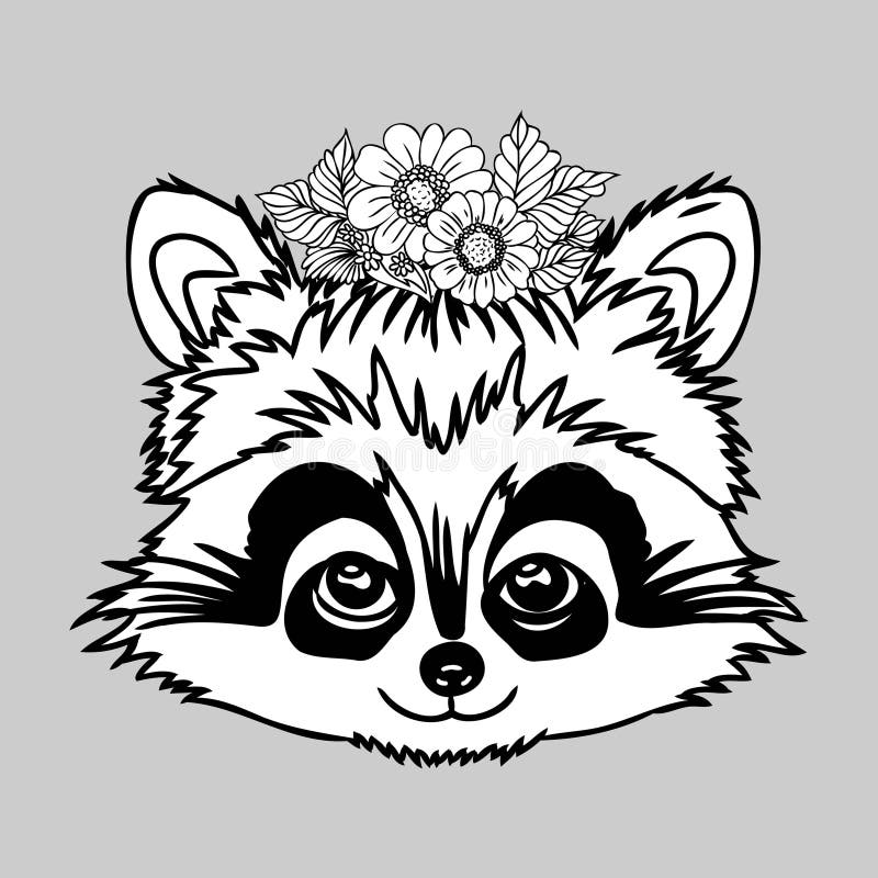 Raccoon coloring stock illustrations â raccoon coloring stock illustrations vectors clipart