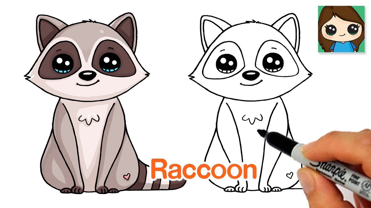 How to draw a raccoon easy