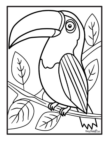 Printable bird coloring pages