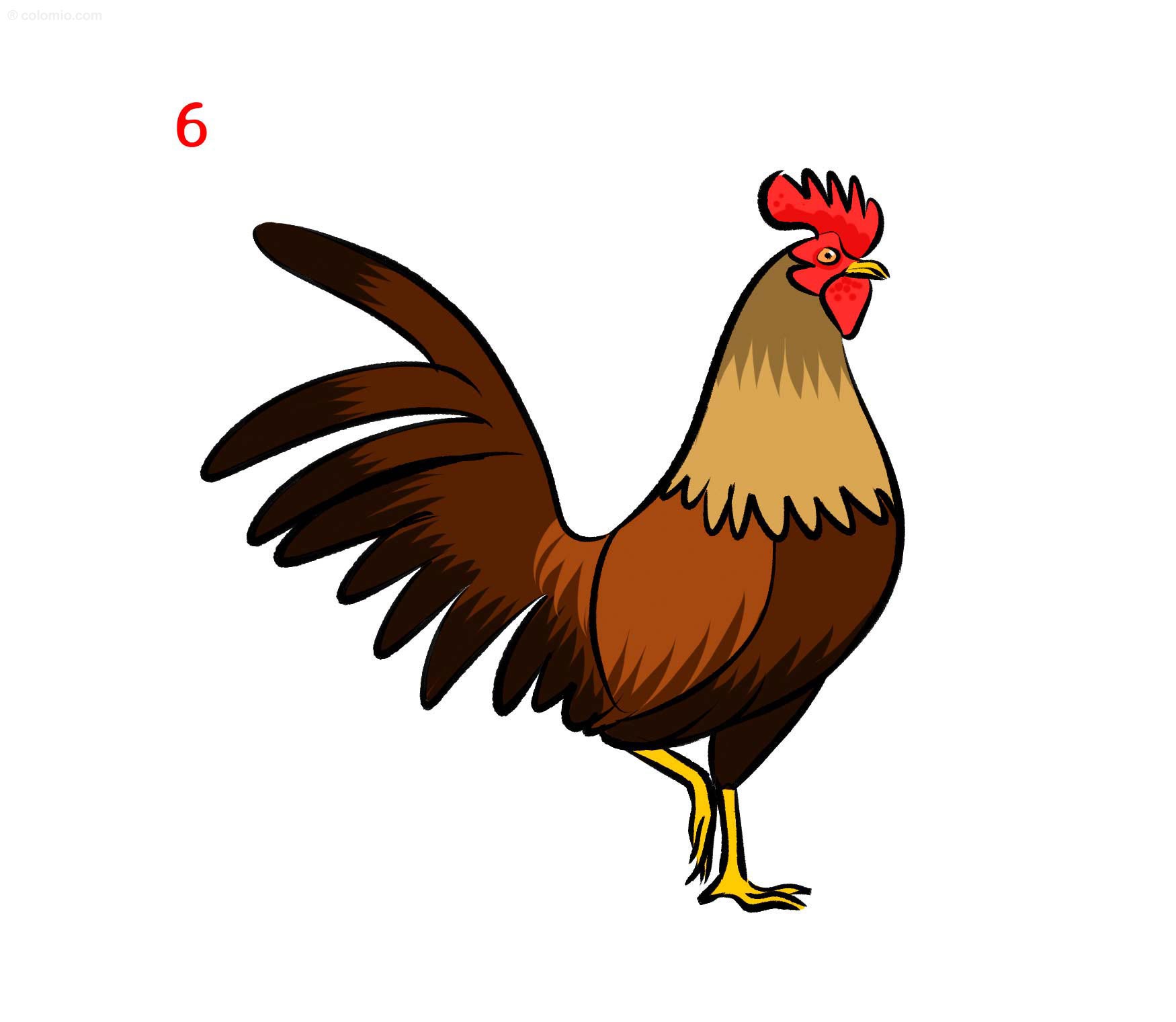 Rooster drawing â how to draw a rooster step by step