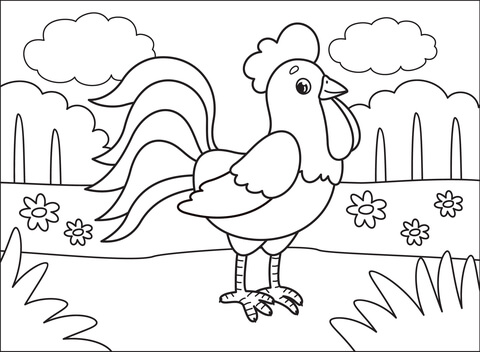 Rooster coloring pages free coloring pages