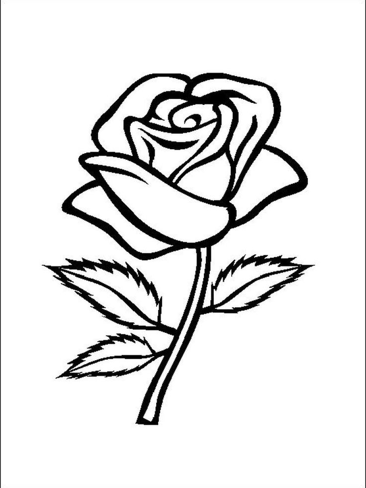 Rose coloring pages easy dibujos de rosas dibujo de rosa fãcil stencil rosa