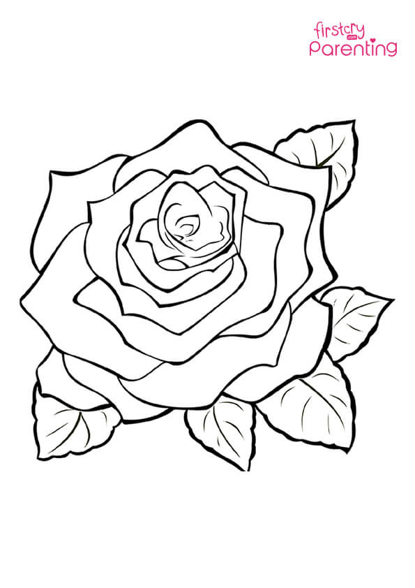 Easy rose coloring page for kids