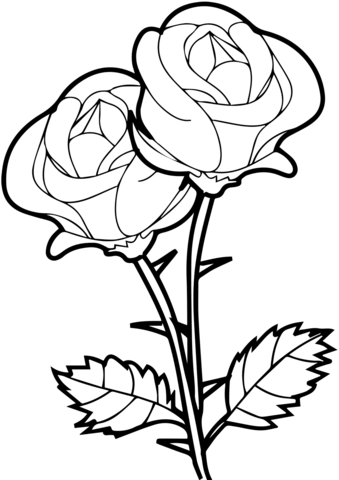 Roses coloring page free printable coloring pages