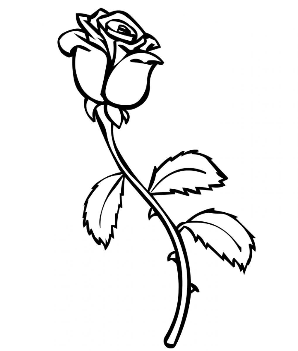 Free printable roses coloring pages for kids