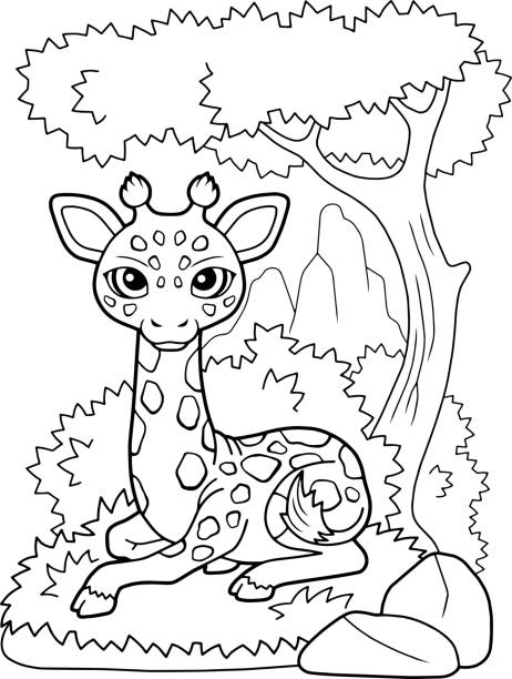 Safari coloring pages stock photos pictures royalty