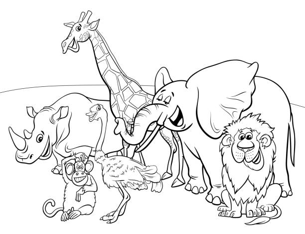 Safari coloring pages stock photos pictures royalty