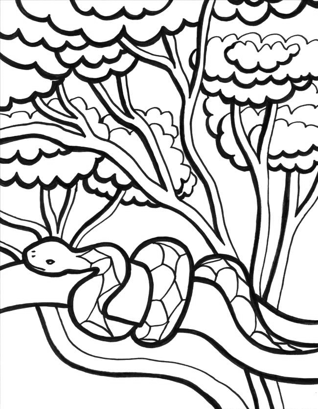 Jungle coloring pages