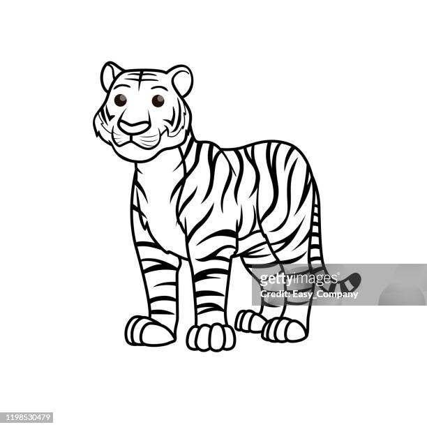 Vector illustration of tiger isolated on white background for kids coloring book high