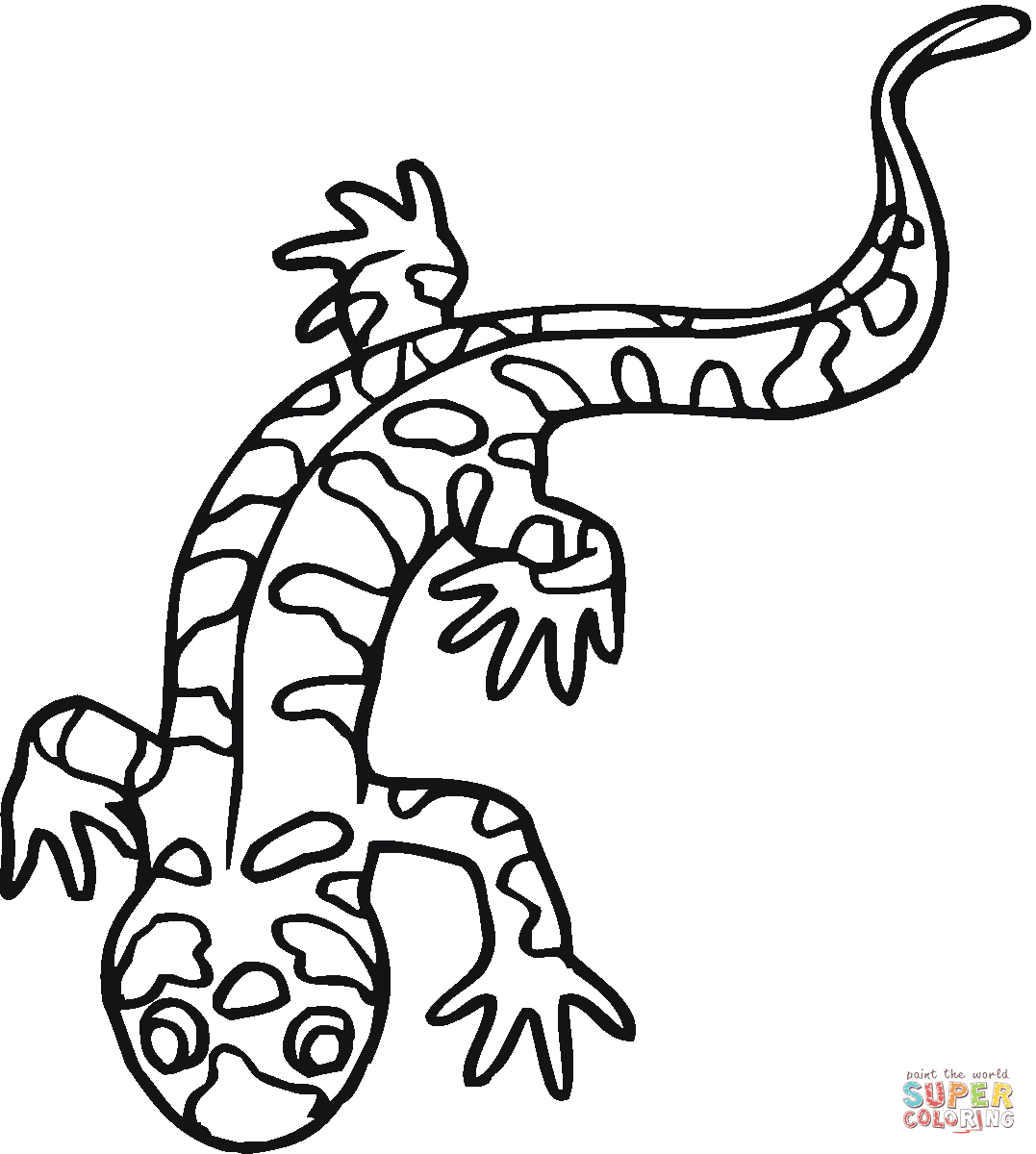 Salamander ausmalbilder ausmalbilder salamander salamander salamander craft coloring pages