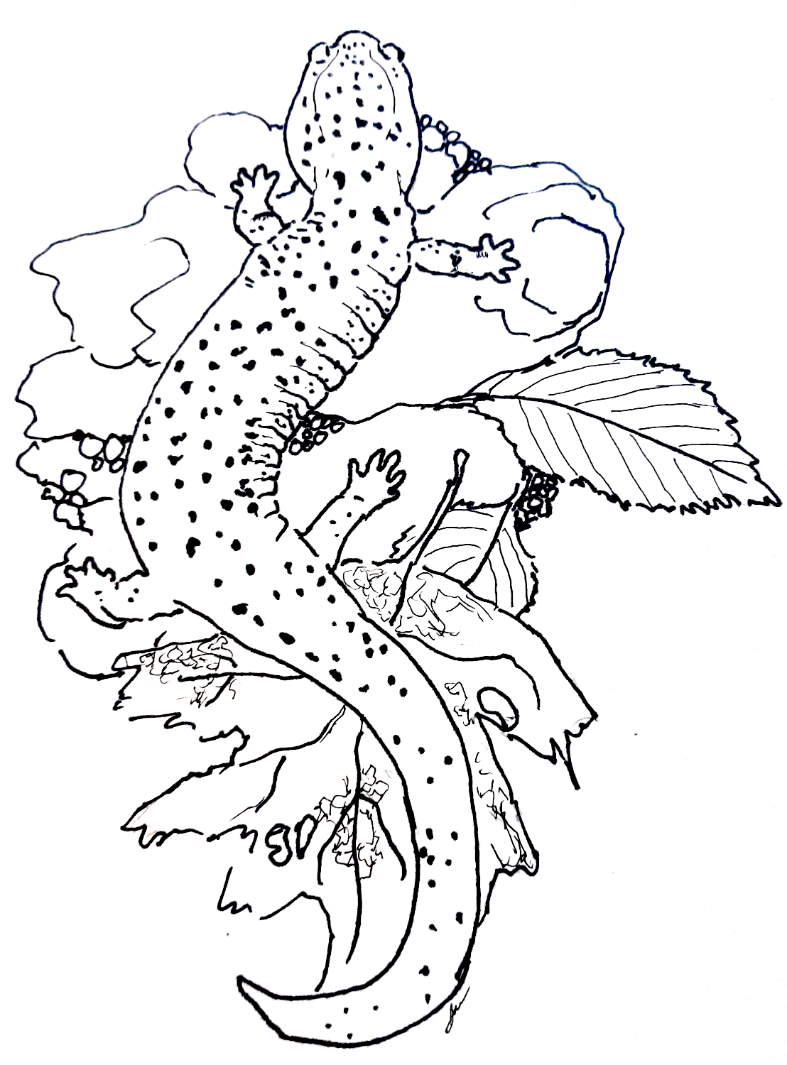 Coloring pages