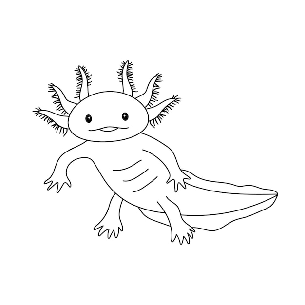 Premium vector vector illustration of cute axolotl salamander isolated on white drawing in outline style for coloring book