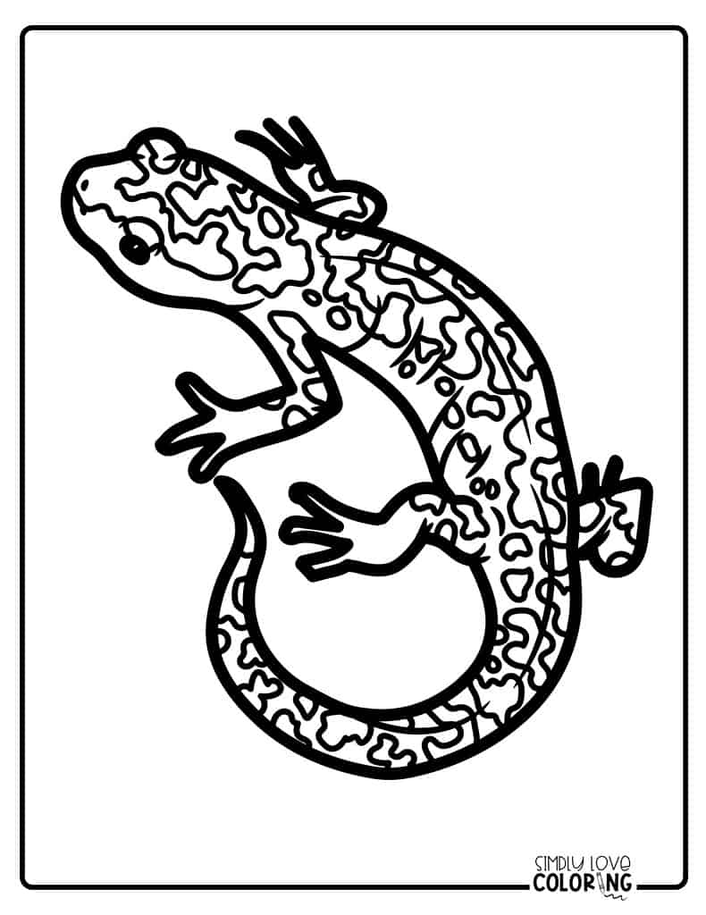 Salamander coloring pages free pdf printables