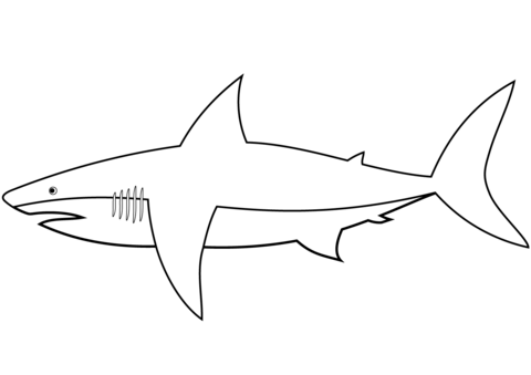 Easy shark coloring page free printable coloring pages