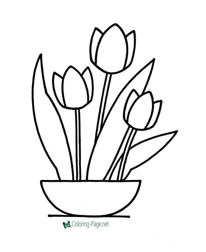 Flower coloring pages