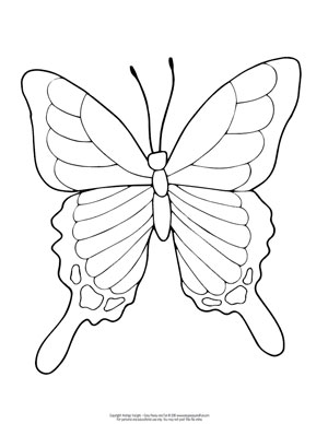 Butterfly coloring pages