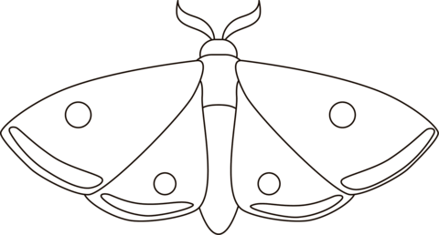 Moth coloring page free printable coloring pages