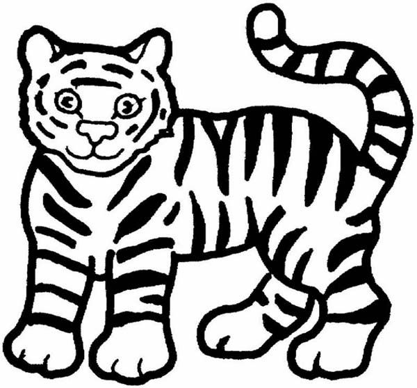 Simple coloring pages draw a tiger a cute cartoon drawing of tiger