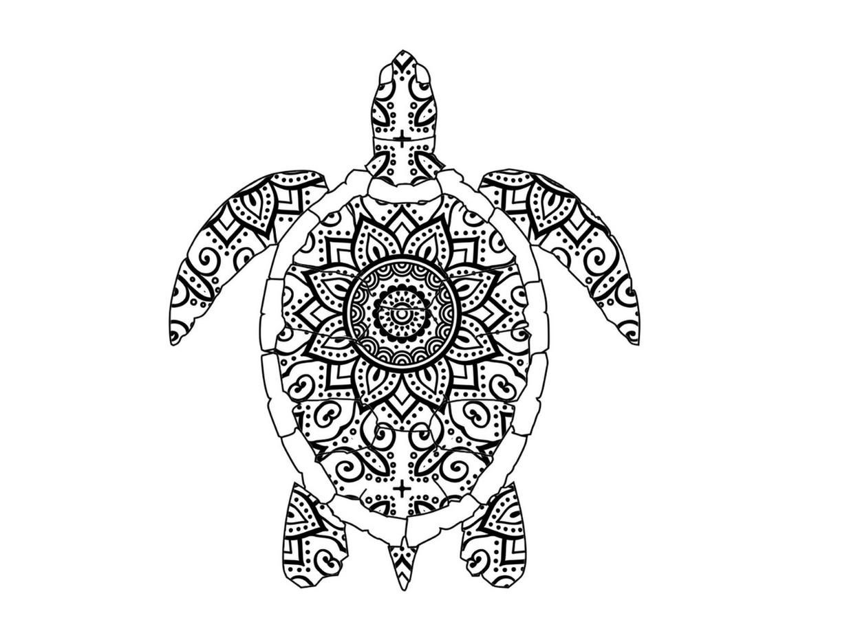 Turtle coloring book for kidsa fun collection of simple abstract turtle designs for kids to color a made by teachers