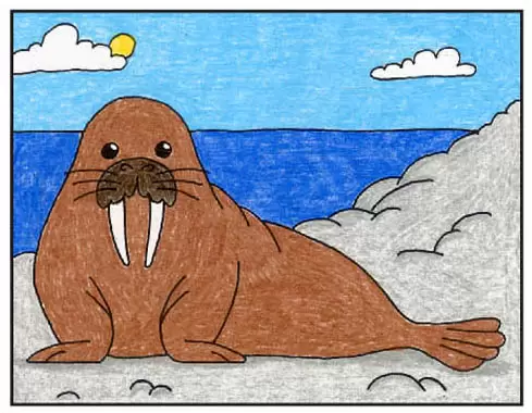 Easy how to draw a walrus tutorial and walrus coloring page