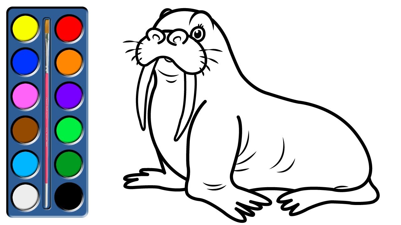 Coloring walrus