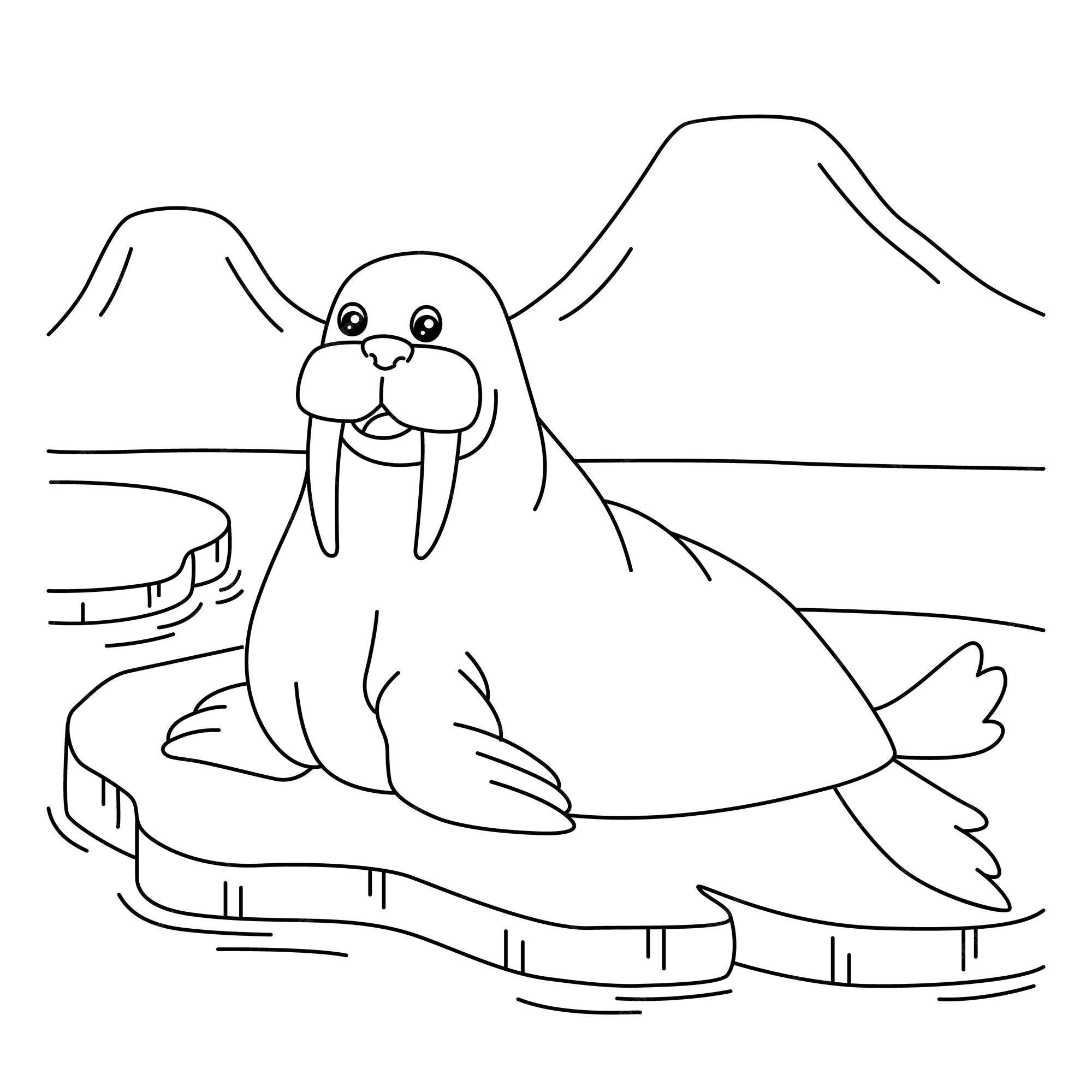 Premium vector walrus coloring page for kids