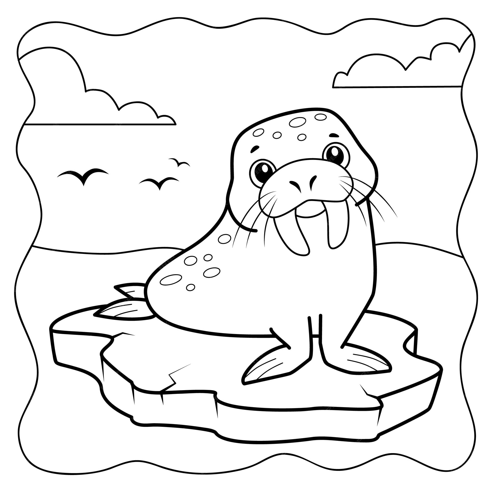 Premium vector walrus black and white coloring book or coloring page for kids marine background