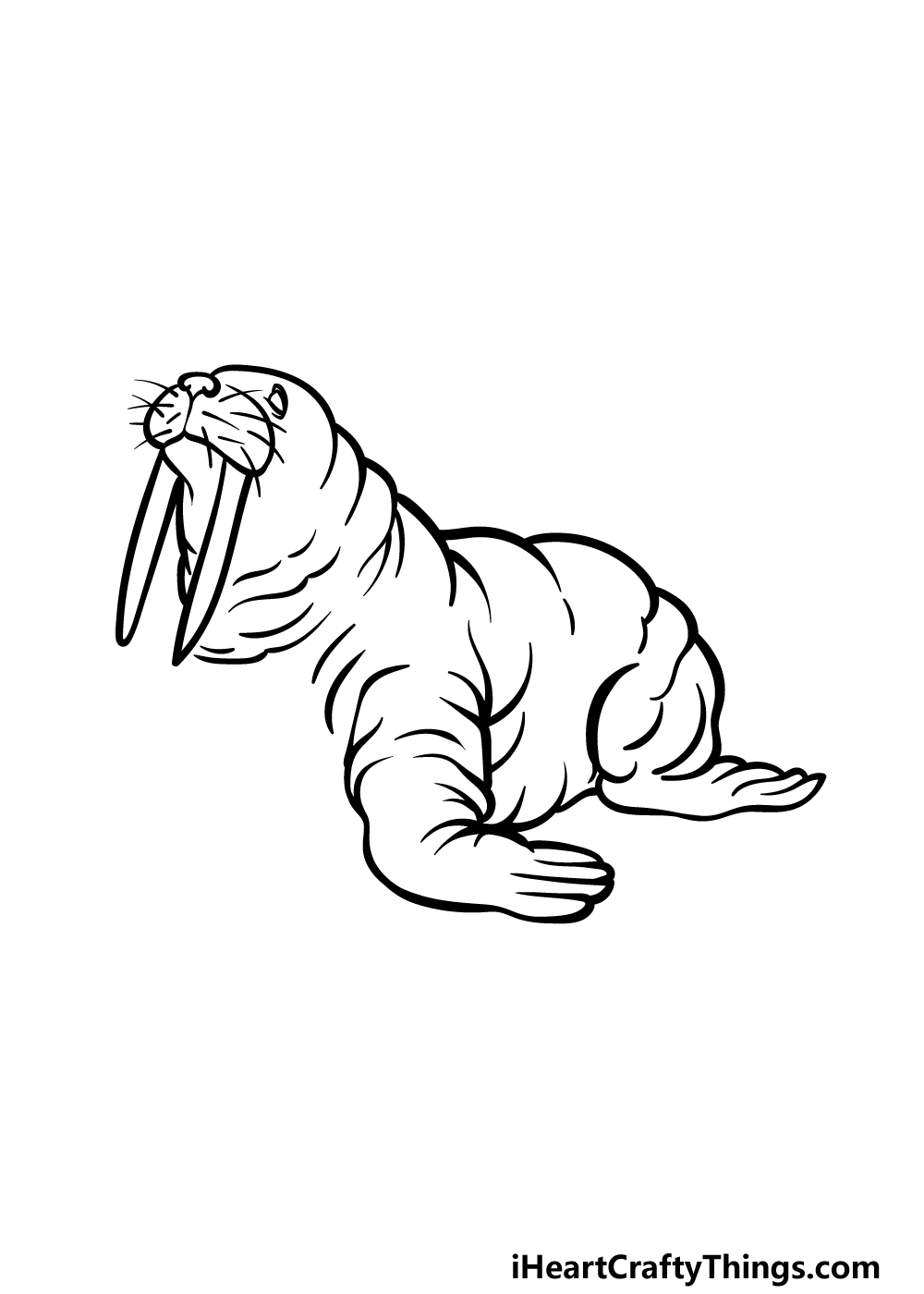 Walrus drawing