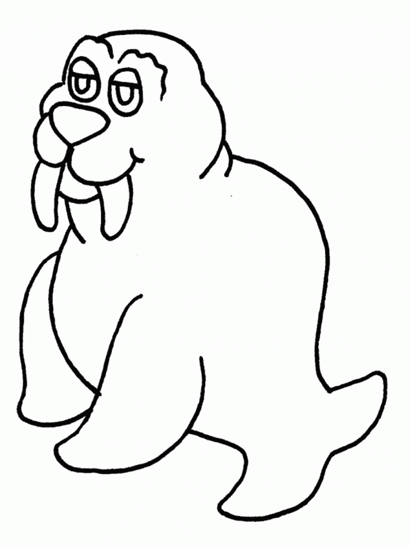 Free printable walrus coloring pages for kids