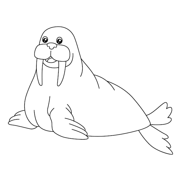 Premium vector walrus coloring page isolated for kids