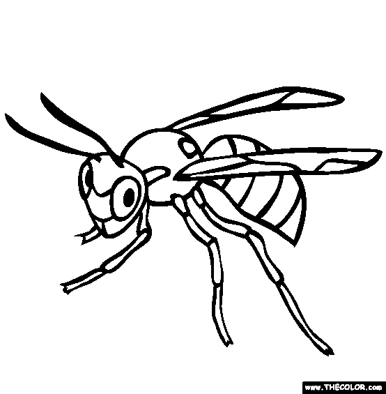 Wasp coloring page free wasp online coloring online coloring coloring pages insect coloring pages