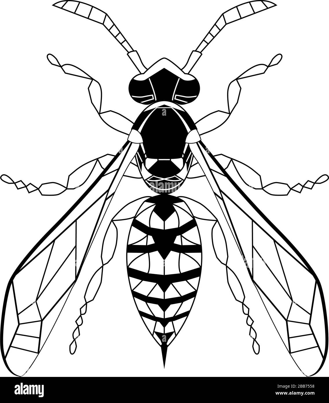 Wasp illustration black and white stock photos images