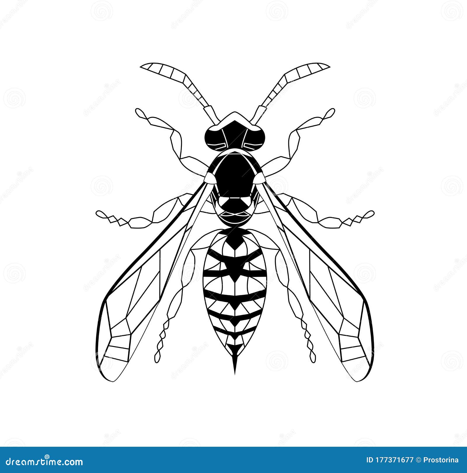 Wasp line drawing cartoon for adult antistress coloring page bee isolated on white background stock vector