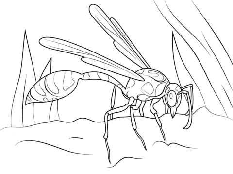 Mud dauber wasp coloring page free printable coloring pages