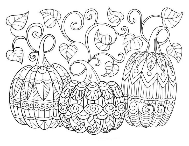 Pumpkins zentangle coloring page halloween coloring sheets fall coloring pages free halloween coloring pages