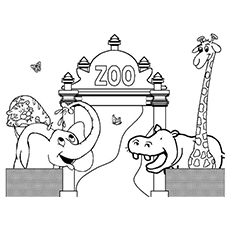 Top free printable zoo coloring pages online