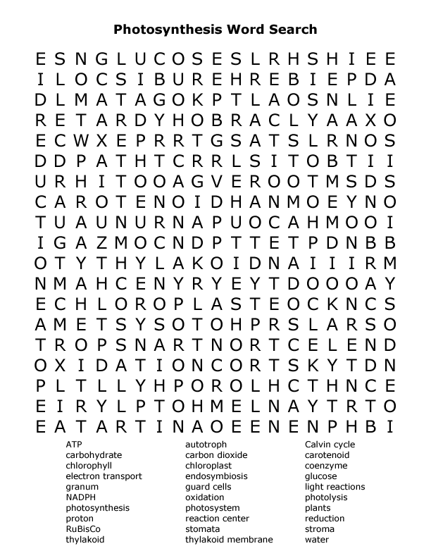 Photosynthesis word search