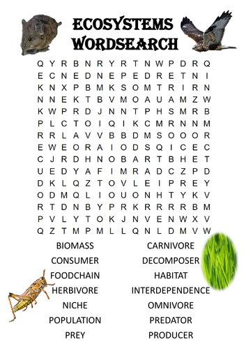 Biology word search puzzle ecosystems includes answer key teaching resources