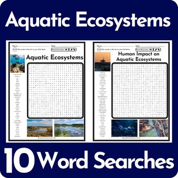 Ecosystem word search tpt