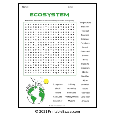 Ecosystem word search puzzle