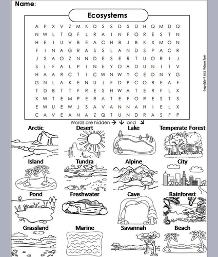 Ecosystems word search coloring book teaching resources