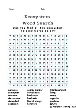 Ecosystem word search tpt