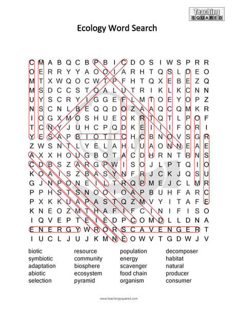 Ecology science word search